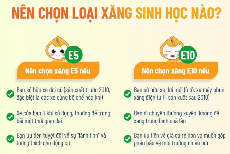 Chọn đổ xăng sinh học E10 hay E5?