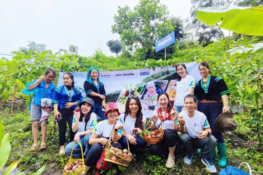 BIDV MetLife đồng hành cùng MetLife Foundation hỗ trợ các sáng kiến cộng đồng tại Việt Nam