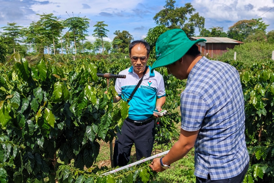 Phú Mỹ tăng cường hợp tác phát triển nông nghiệp tại Lào