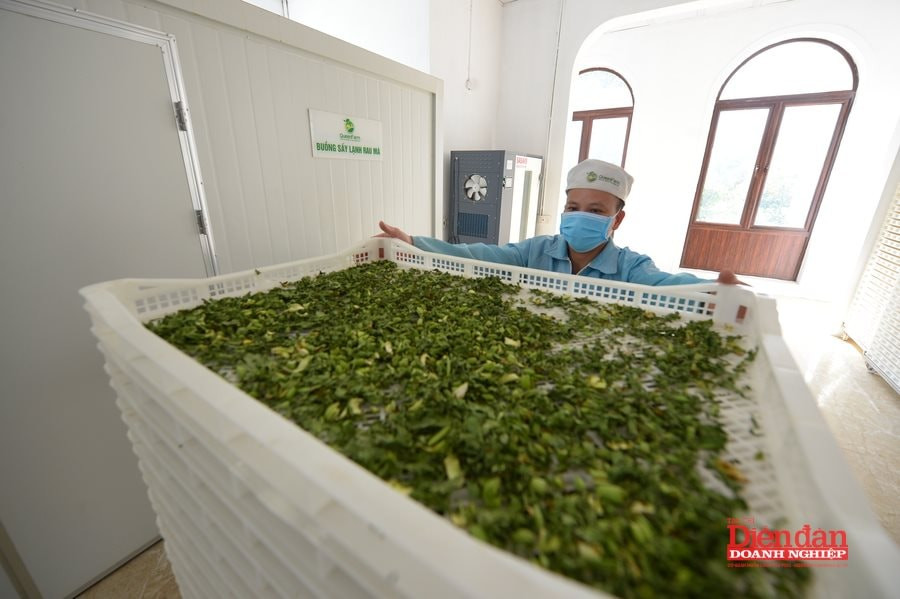 VCCI góp ý cơ chế phân loại rủi ro hàng hóa nông nghiệp, môi trường