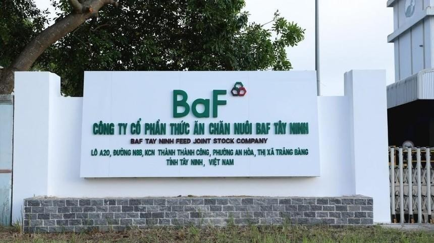 “Cơn lốc” mở rộng quy mô khiến BAF Việt Nam đối mặt với rủi ro từ đòn bẩy tài chính?