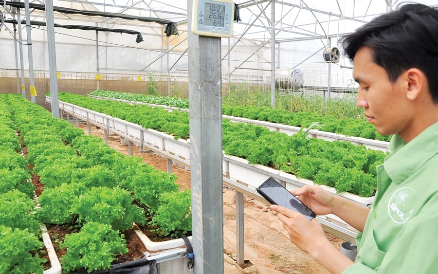 Thẩm thấu vào các ngành, kinh tế số tạo tăng trưởng đột phá