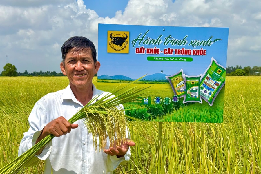 Đất khỏe hôm nay, mùa vàng ngày mai