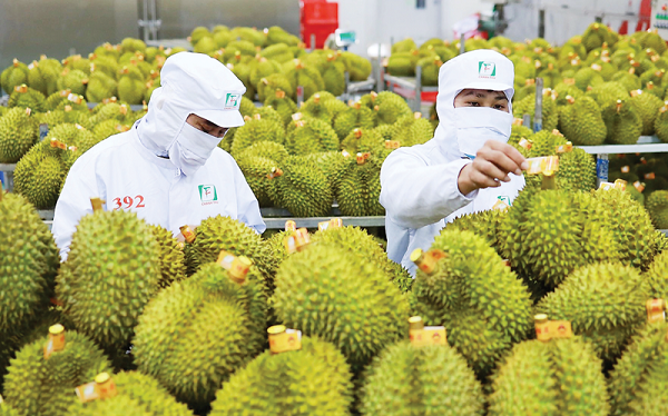 Rau quả Việt bứt phá trên đường đua 10 tỷ USD