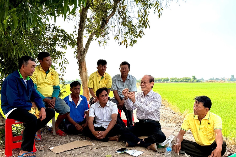 Từ vùng đất phèn đến mùa vàng 7 tấn lúa/ha