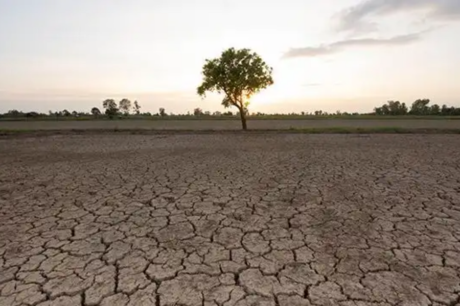 El Niño chính thức trở lại, rủi ro kinh tế gia tăng