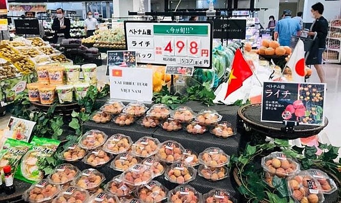 Cơ hội mới để Trang Chủ Nhà Cái Good88.com Việt tiếp cận công nghệ Nhật Bản