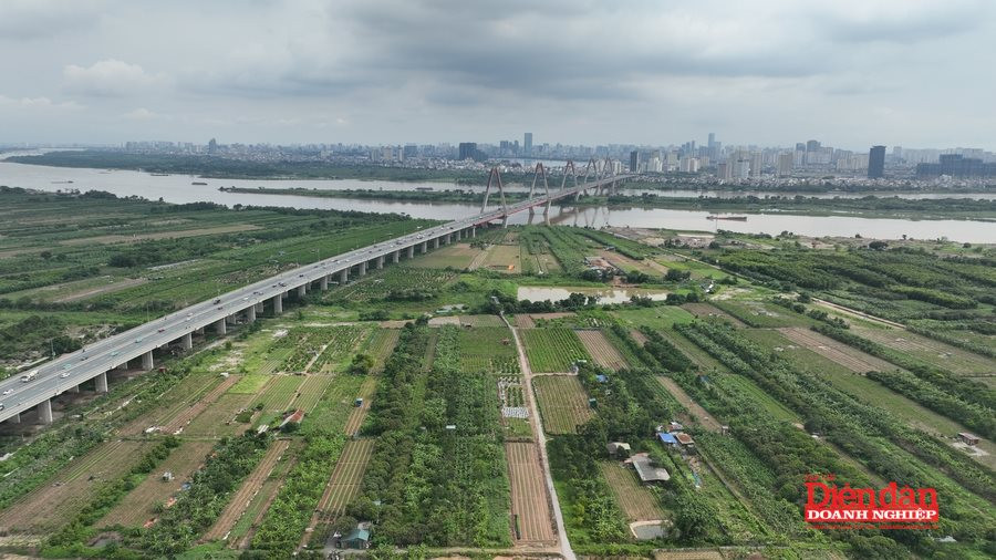 Sửa Luật Đất đai: Gỡ nút thắt thủ tục bằng phân cấp và số hóa