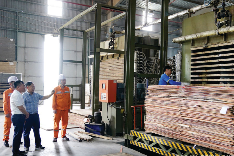 Giải bài toán an ninh năng lượng