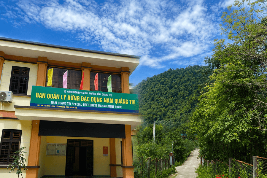 Tín chỉ carbon (Bài 1): “Mỏ vàng xanh” ẩn mình tại Quảng Trị