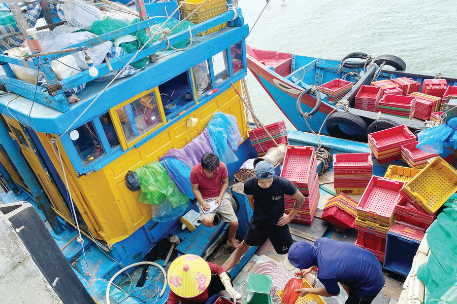 Hạ tầng cảng cá - chìa khóa gỡ “thẻ vàng” IUU ở Quảng Trị