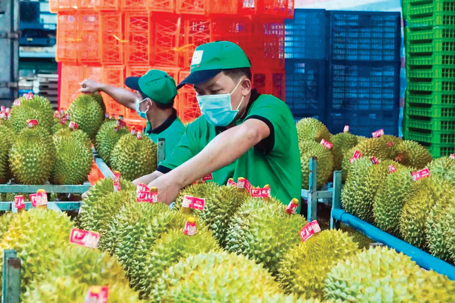 “Chìa khoá” để xuất khẩu bứt phá