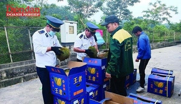 Gỡ nút thắt mã số vùng trồng: Cơ hội nào cho nông sản xuất khẩu?