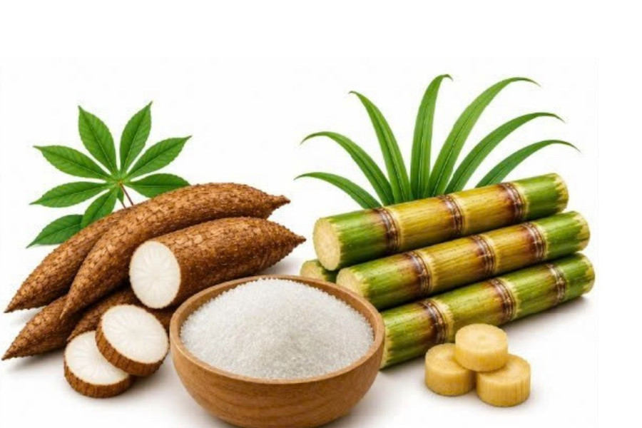 Minh bạch nguồn gốc bột ngọt góp phần xây dựng môi trường cạnh tranh lành mạnh