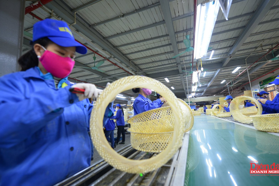 Doanh nghiệp Việt phục hồi và thích ứng trước biến động