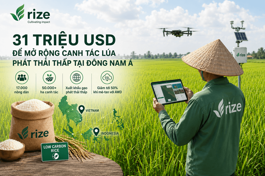 Rize huy động 31 triệu USD để mở rộng mô hình lúa gạo phát thải thấp tại Đông Nam Á