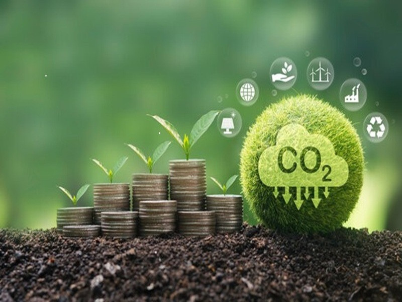Đề xuất 7 nhiệm vụ trọng tâm để thị trường carbon vận hành thực chất