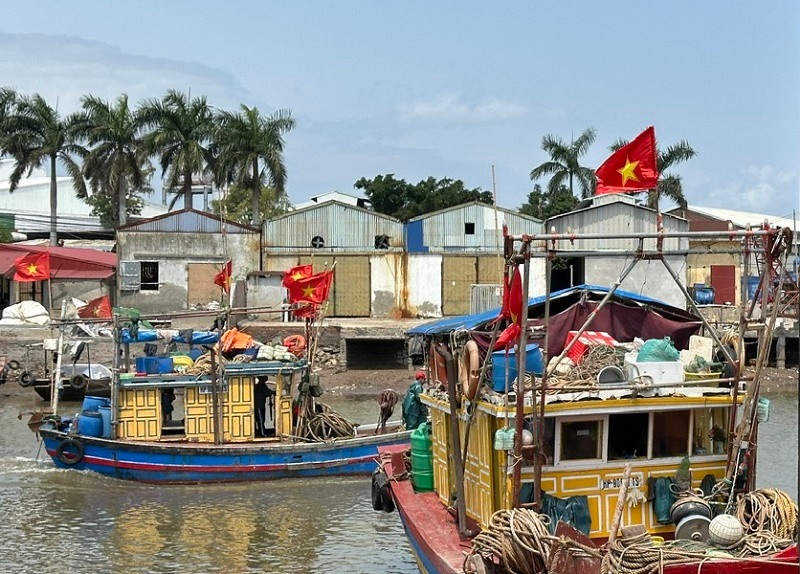 Chuyển đổi số nghề cá: Chìa khóa để Ninh Bình gỡ "thẻ vàng" EC