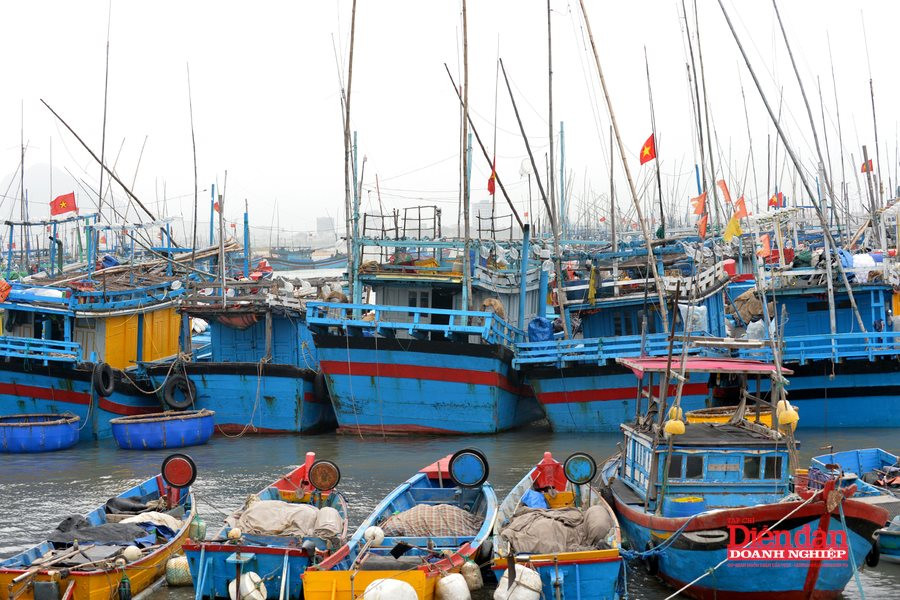 Hoàn thiện thể chế cho kinh tế biển xanh