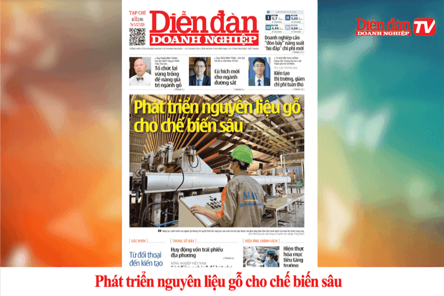 DIỄN ĐÀN DOANH NGHIỆP SỐ 58: Phát triển nguyên liệu gỗ cho chế biến sâu