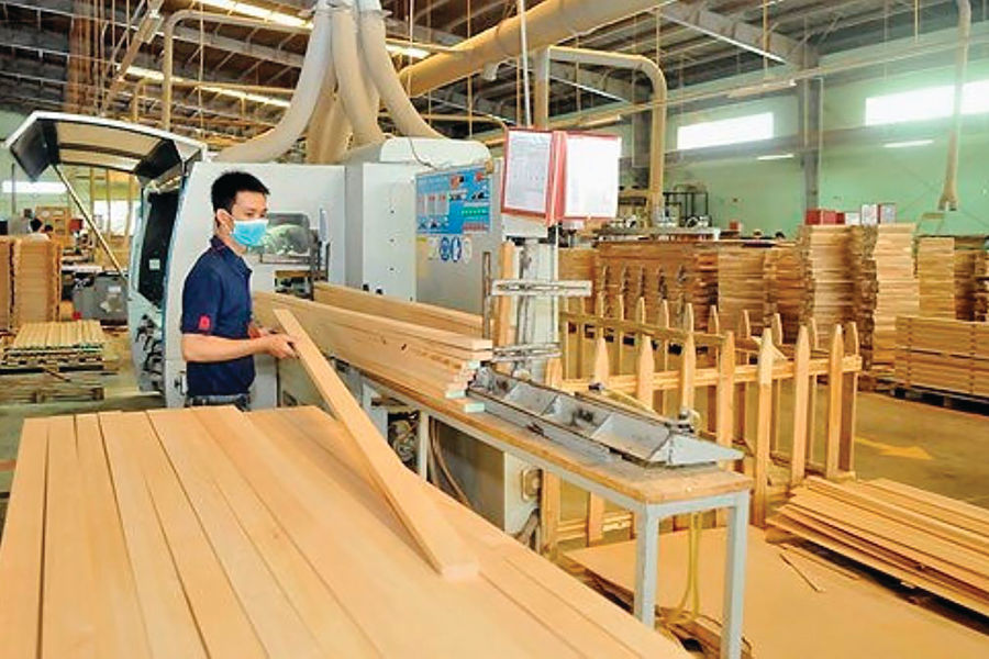 Phát triển nguyên liệu gỗ cho chế biến sâu: Gia tăng giá trị kinh tế ngành gỗ