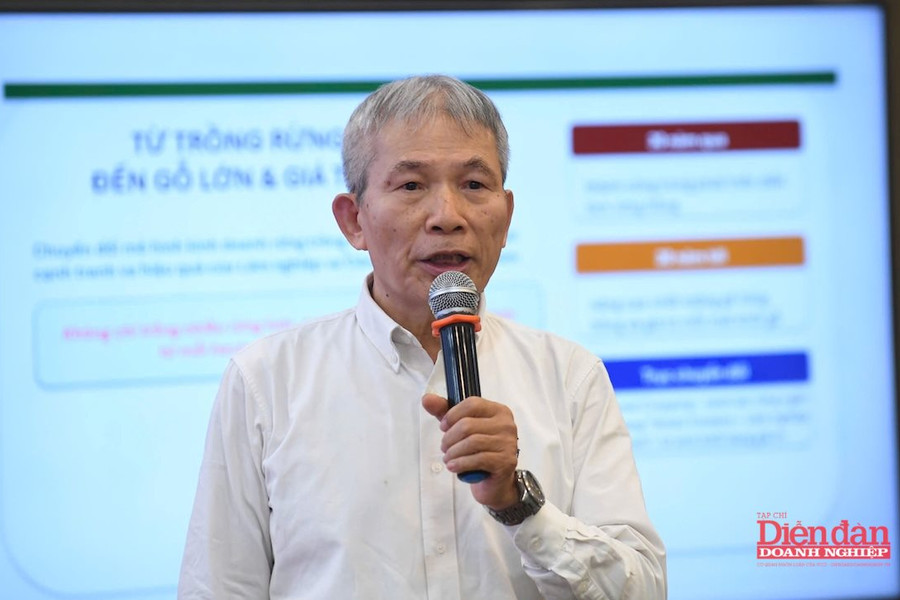 PHÁT TRIỂN NGUYÊN LIỆU GỖ BỀN VỮNG: Ngành gỗ cần chuyển sang "cuộc chơi giá trị"