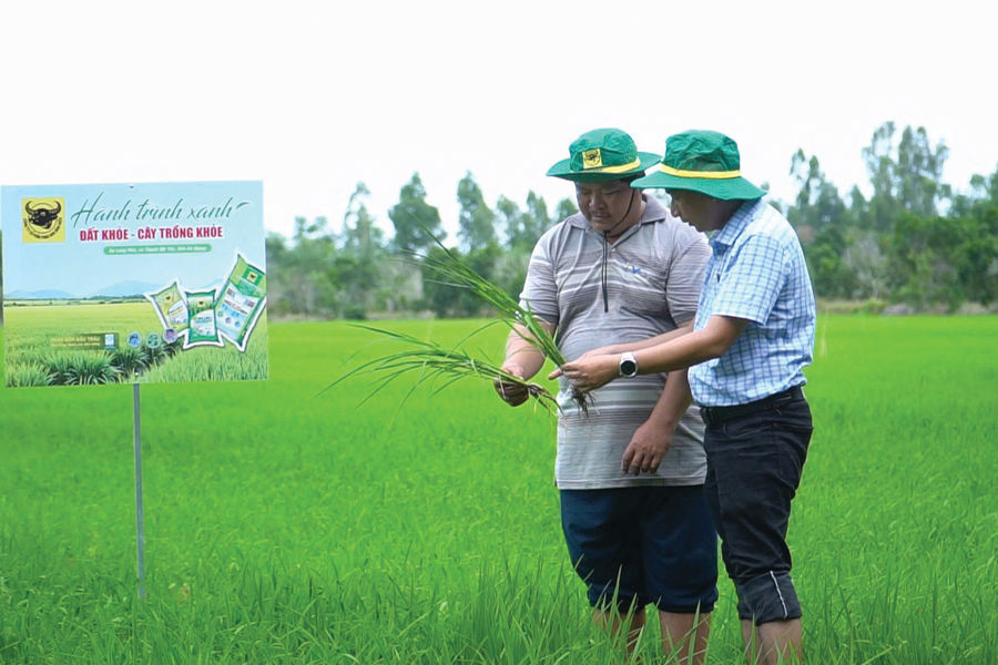 Làm giàu nhờ đổi mới tư duy trên vùng đất phèn