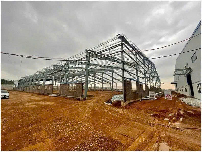 Vụ án an toàn lao động và bài học cho doanh nghiệp