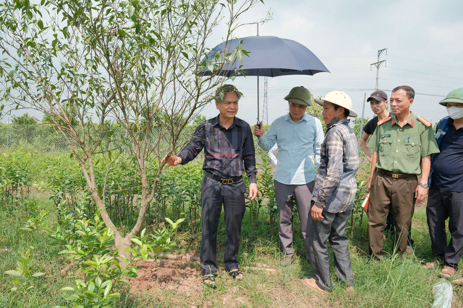 Trung tâm Phát triển quỹ đất Hưng Yên: Nâng cao hiệu quả tạo lập quỹ đất