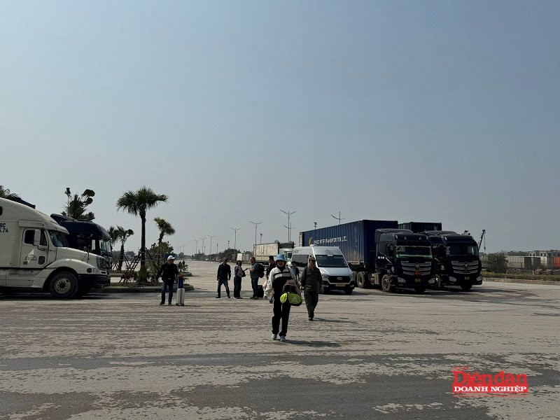 Bứt phá hạ tầng và thể chế: Đòn bẩy đưa Quảng Ninh trở thành trung tâm logistics kết nối khu vực