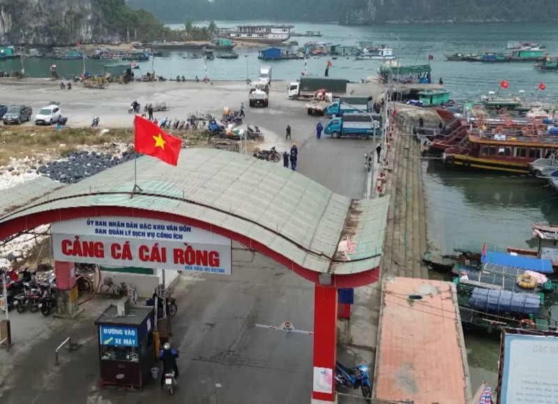 Bất cập cấp Giấy chứng nhận an toàn thực phẩm cho cảng cá công lập