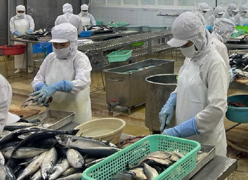 Bước đi quyết định cho an toàn thực phẩm tại Quảng Ninh