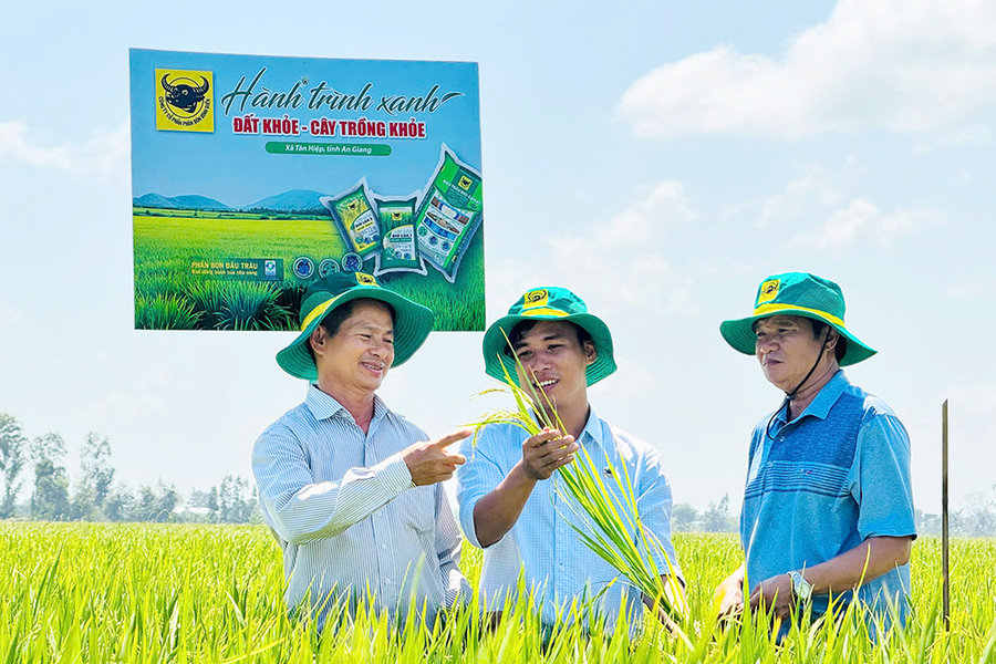 Đất khỏe, cây khỏe, người nông dân thêm niềm tin