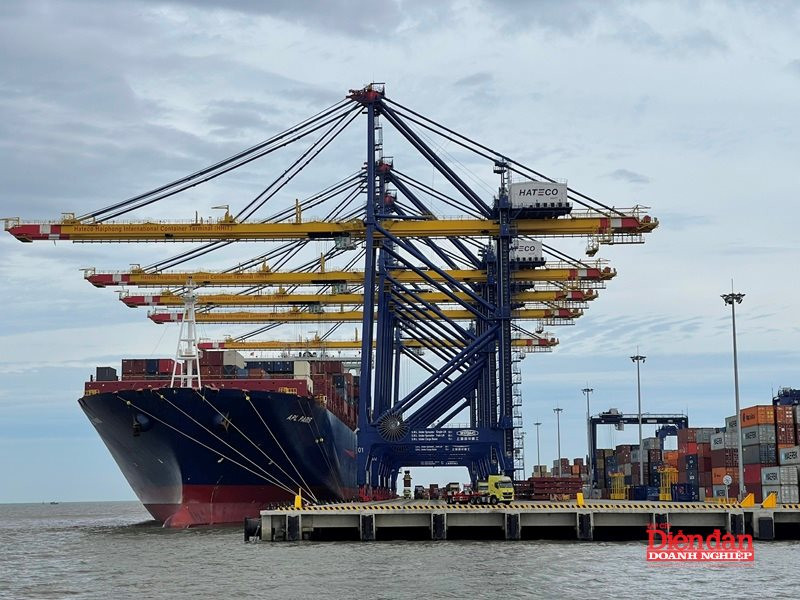 Gỡ điểm nghẽn logistics bằng nâng năng lực vận tải biển