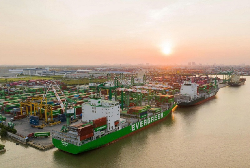 Viconship sắp thu gần trăm tỷ đồng từ cổ tức VGR