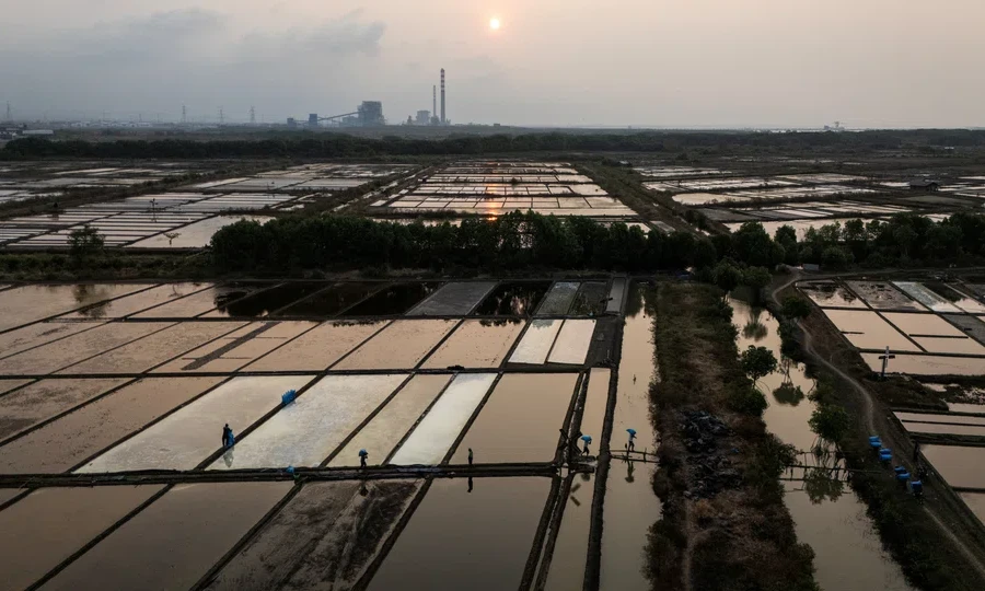 El Niño gây áp lực chi phí cho nhiều doanh nghiệp châu Á
