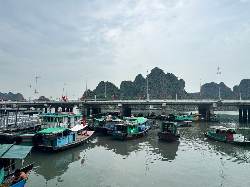 Quảng Ninh: Siết chặt quản lý, xử lý nghiêm hành vi cải hoán tàu cá trái phép