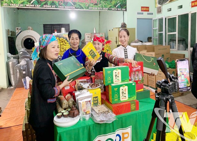 Tối ưu hoạt động doanh nghiệp nhỏ từ AI thực chiến