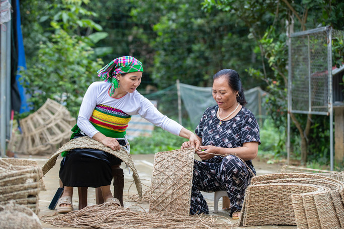 27.000 doanh nghiệp được hỗ trợ năng lực kinh doanh, tài chính, kỹ năng số