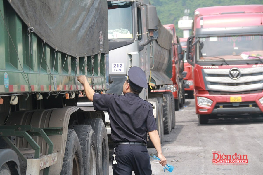 Doanh nghiệp Huế cần thủ tục hải quan đơn giản, minh bạch hơn