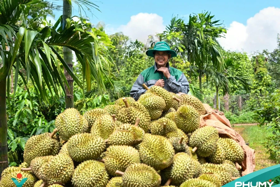Dấu ấn Phú Mỹ tại Lễ hội Sầu riêng Đắk Lắk 2026
