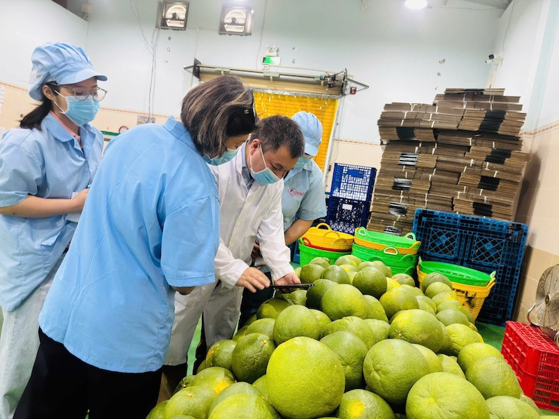 Liên kết xuất khẩu, mở đường cho nông sản Việt vào Pháp