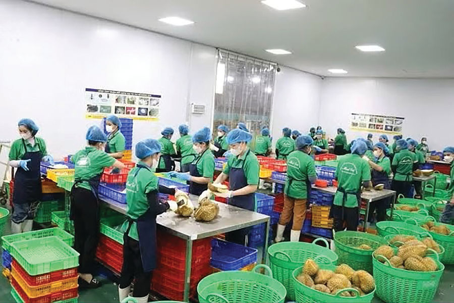 Rộng đường cho nông sản Việt Nam vào Italia