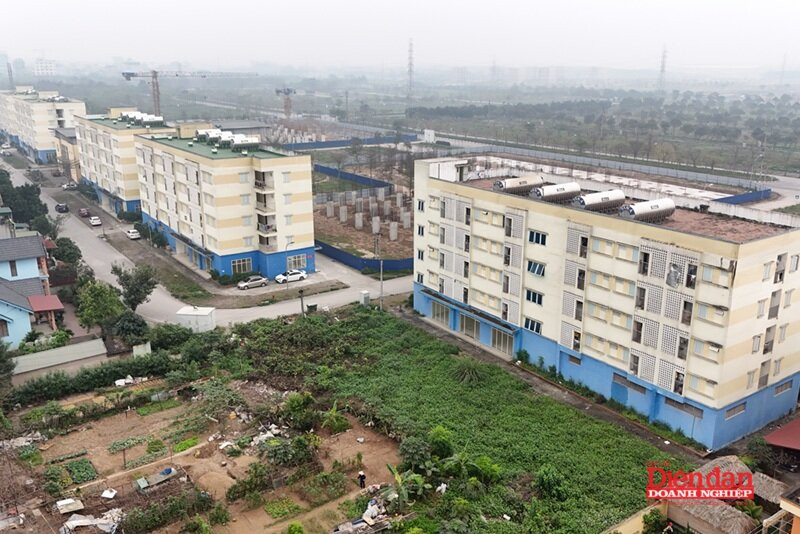 Sửa Luật Đất đai: Cân nhắc đảm bảo tính đồng bộ