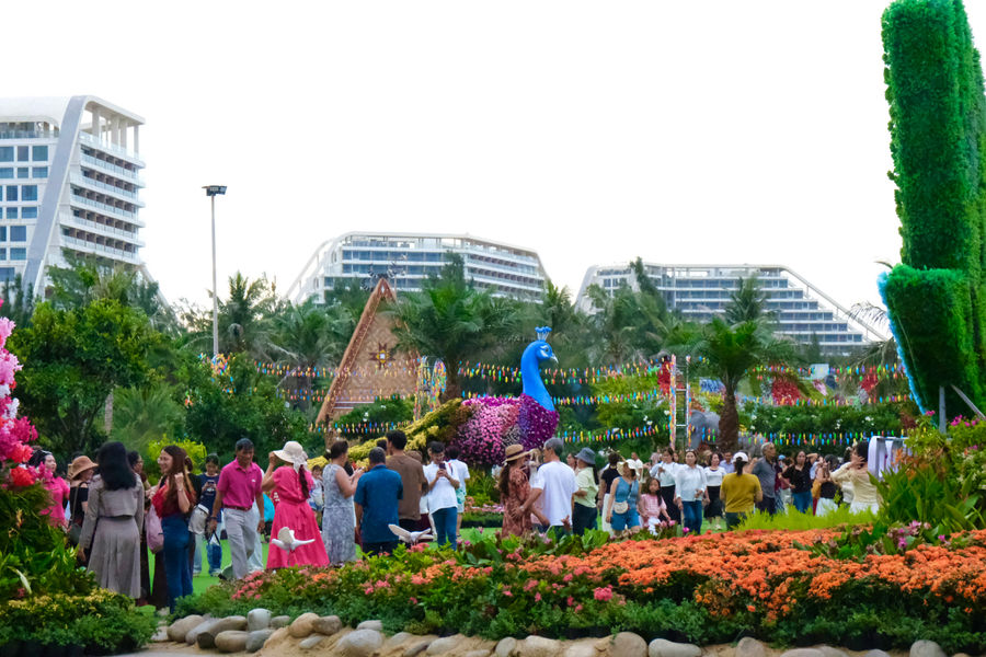 5 ngày nghỉ Quốc khánh, FLC Hotels & Resorts đón gần 20.000 lượt khách, Quy Nhơn hút khách với Lễ hội Ngàn Hoa
