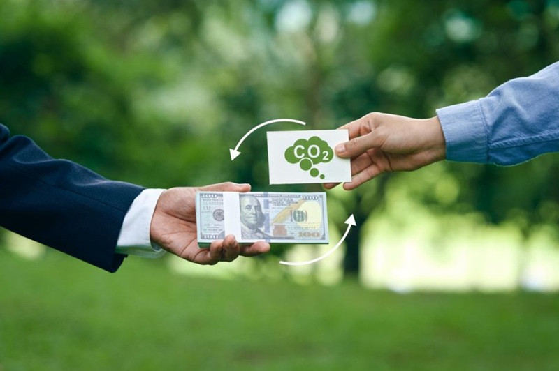 Giao dịch carbon tại Việt Nam: Mức độ sẵn sàng và đầu tư của doanh nghiệp
