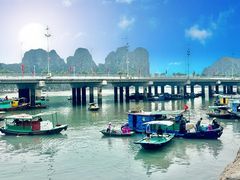 Quảng Ninh siết chặt VMS và hạ tầng cảng cá, quyết tháo gỡ "thẻ vàng" IUU