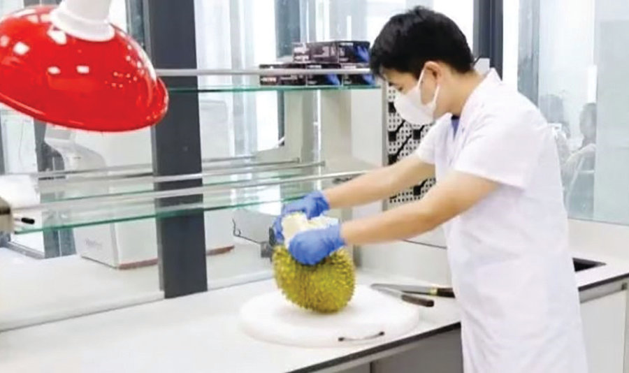 Thích ứng “luật chơi” mới về SPS