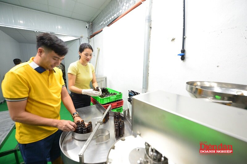 Sửa Luật An toàn thực phẩm: Cần cụ thể trách nhiệm dân sự liên đới