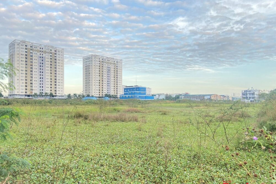 Luật Đất đai (sửa đổi): HoREA kiến nghị tháo gỡ hàng loạt bất cập